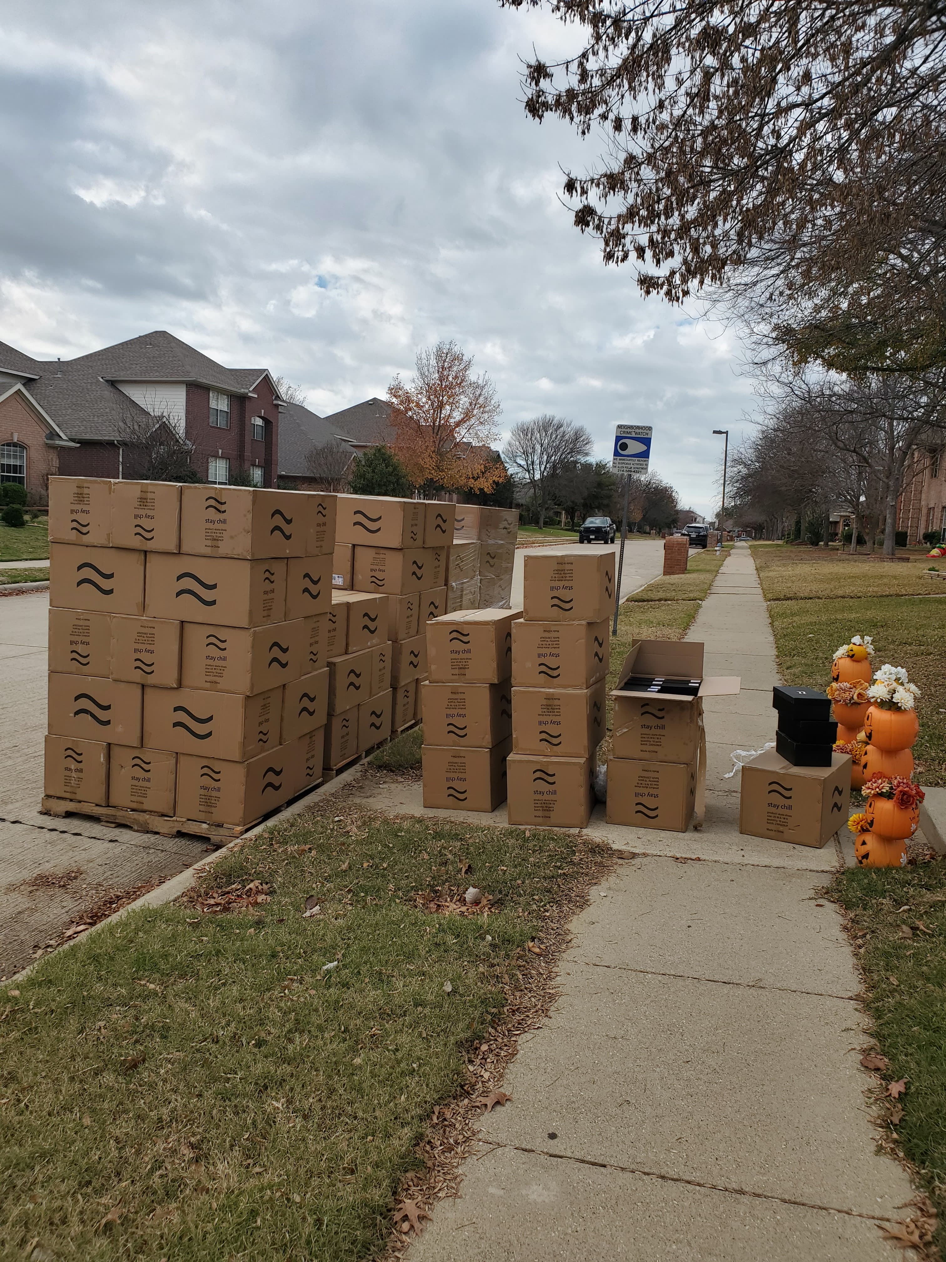 Stay Chill Skate Shoes Image 2