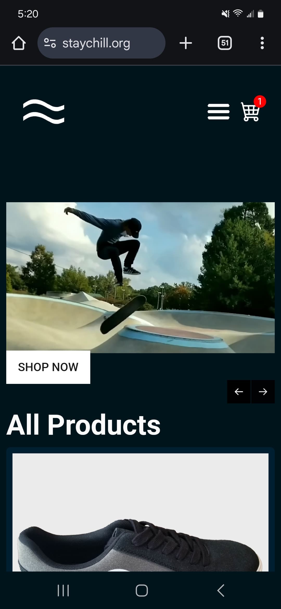 Stay Chill Skate Shoes Image 3